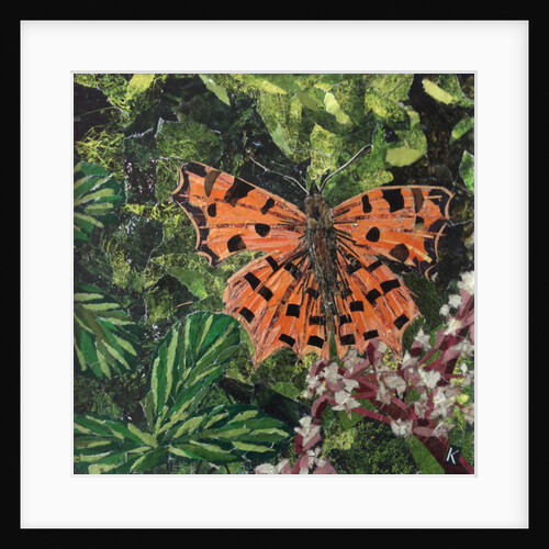 Flutter - Comma Butterfly On Japonica, 2016 by Kirstie Adamson