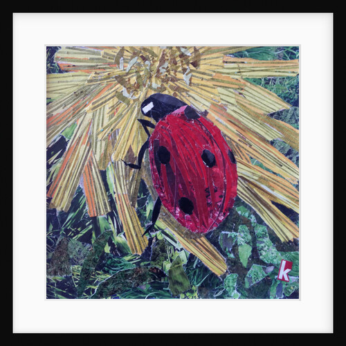 Rise Ladybird On Chrysanthemum, 2016 by Kirstie Adamson