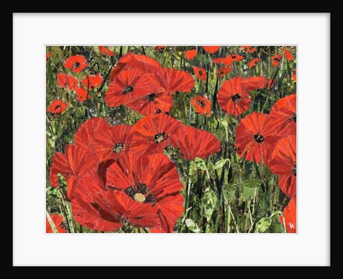 Poppy Field, 2016 by Kirstie Adamson