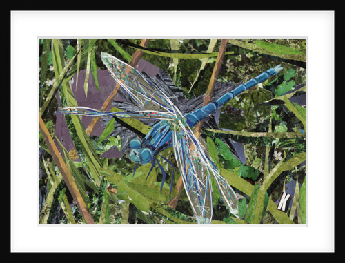 Blue Dragonfly, 2017 by Kirstie Adamson