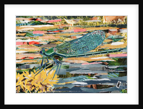 Green Dragonfly, 2017 by Kirstie Adamson