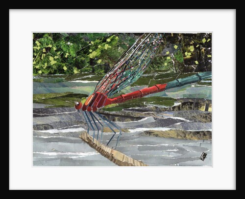 Red Dragonfly, 2017 by Kirstie Adamson