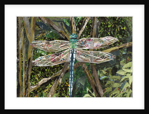 Turquoise Dragonfly, 2017 by Kirstie Adamson