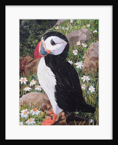 Puffin, 2017 by Kirstie Adamson