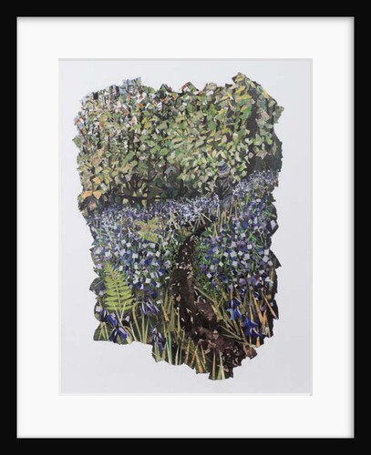 Bluebell Wood, 2017 by Kirstie Adamson