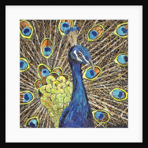 Peacock, 2018 by Kirstie Adamson
