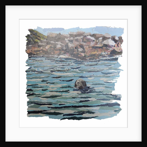 Seal Island, 2018 by Kirstie Adamson