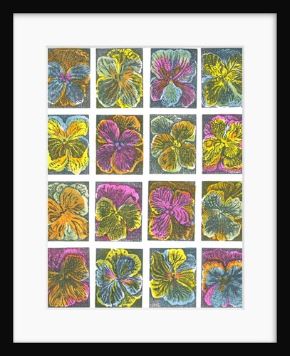 Electric pansies, 2016 by Mary Kuper