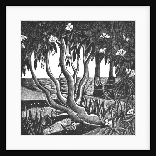 Rhododendrons, Holland Park, 2006 by Mary Kuper