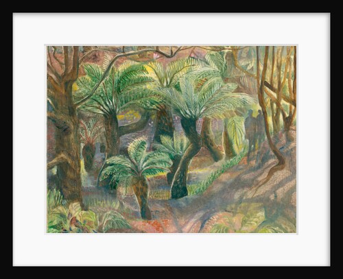 Tree ferns, Trewidden, 2012 by Mary Kuper