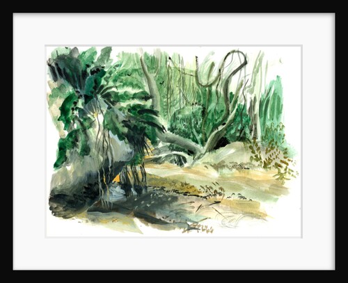 Tyrona, jungle, 2008 by Mary Kuper