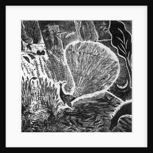 Signs of an approaching storm, 2004 by Mary Kuper