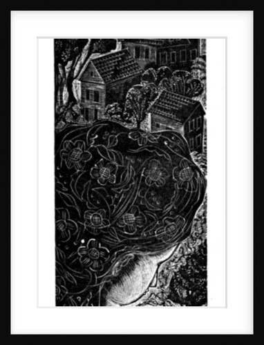 Home, 2006 by Mary Kuper