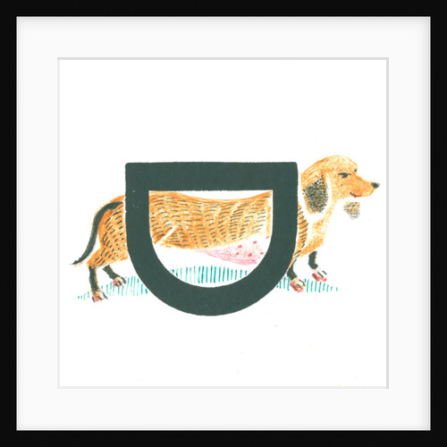 D is for dachshund, 2015 by Mary Kuper