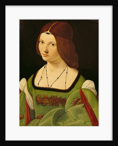 Portrait of a Lady by Giovanni Antonio Boltraffio