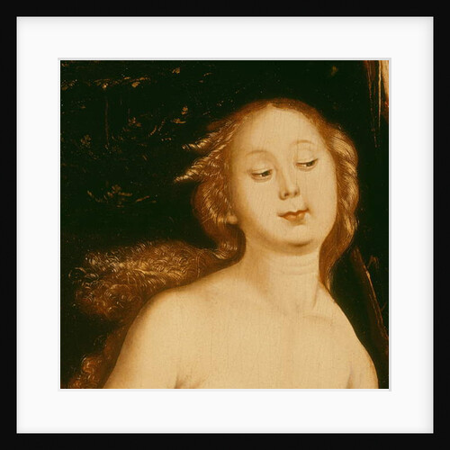 Detail from Eve, the Serpent and Death by Hans Baldung Grien