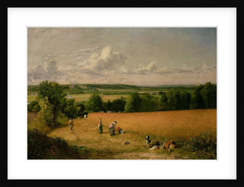 Wheat Field by Anonymous