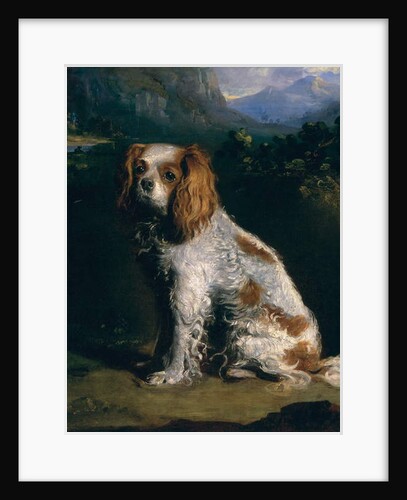 A King Charles Spaniel by Philip Reinagle