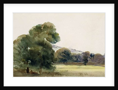 Trees in a Field by Peter de Wint