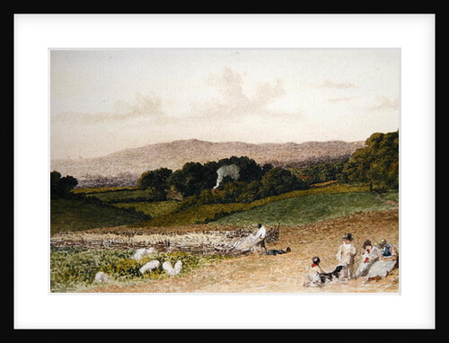 The Turnip Field by Robert Hills