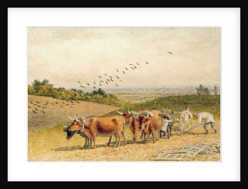 Oxen Ploughing a Downland Field by Robert Hills