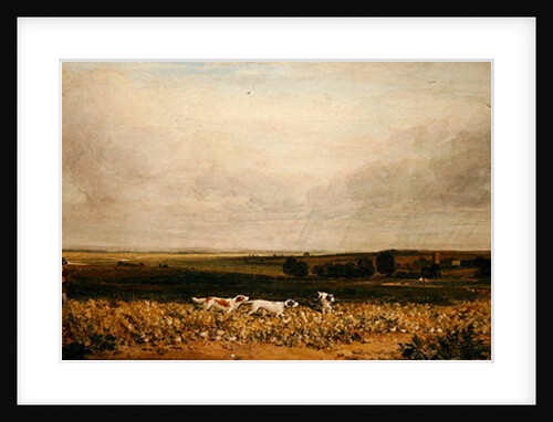 Partridge Shooting by Peter de Wint
