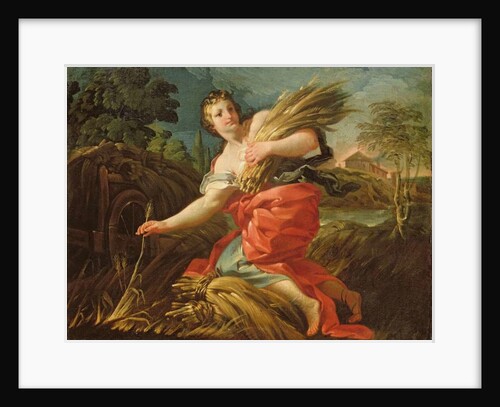 Ruth the Gleaner by Corrado Giaquinto