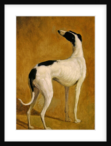 Study of a Greyhound by Jacques-Laurent Agasse