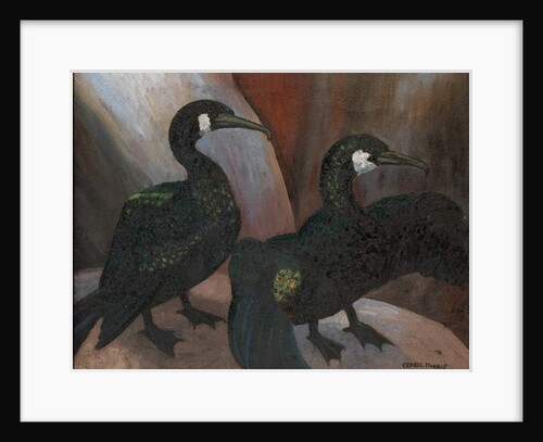 Green Cormorants, 1925 by Cedric Morris