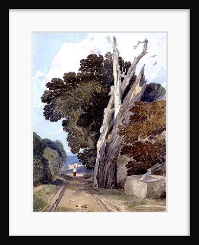 A Spanish Chestnut Tree Struck by Lightning by John Sell Cotman