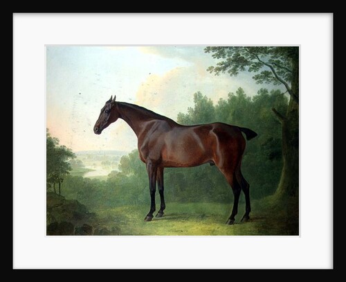 Marquis, a bay hunter in a landscape, 1811 by John Boultbee