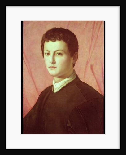 Portrait of a young man by Agnolo di Cosimo Bronzino