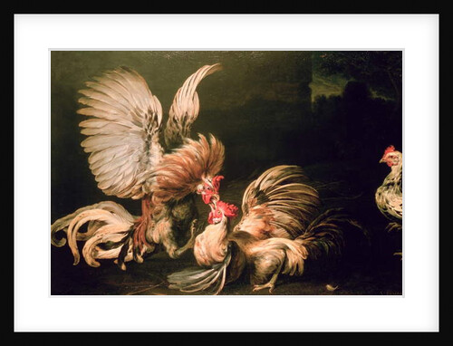 Fighting Cocks by Frans Snyders or Snijders