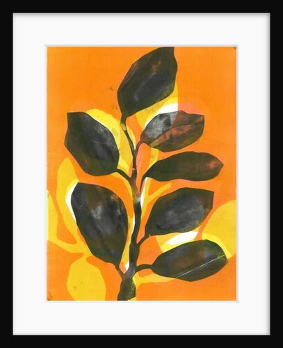 Summer Garden, 2015 by Stephen Dow