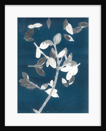 Midnight Garden II, 2015 by Stephen Dow