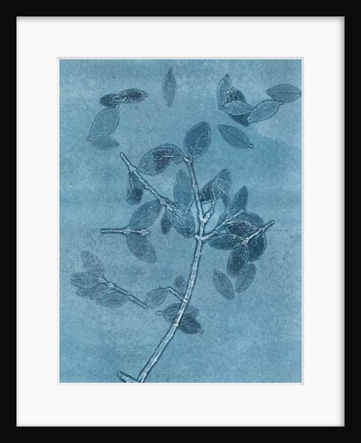 Midnight Garden I, 2015 by Stephen Dow