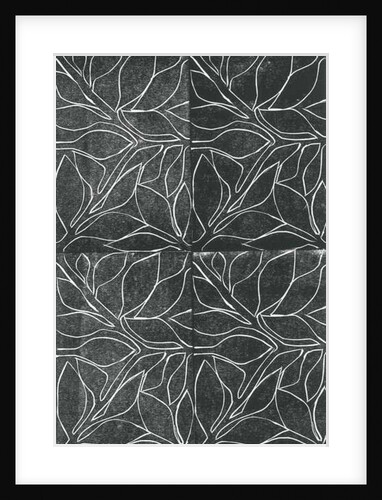 Vines, 2015 by Stephen Dow