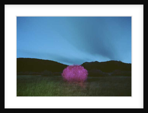 Painting in the Dark, 2015 by Carli Choi