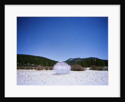 Painting in the Dark, 2015 by Carli Choi