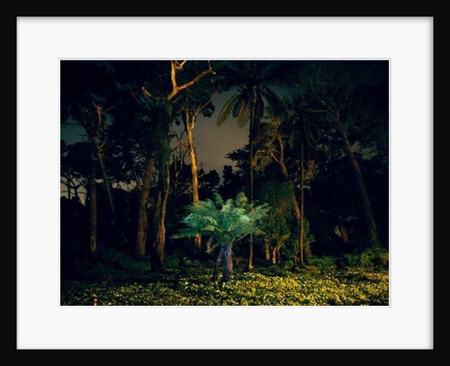 Painting in the Dark, 2014 by Carli Choi