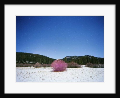 Painting in the Dark, 2015 by Carli Choi