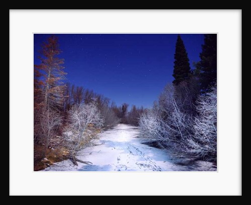 Painting in the Dark, 2014 by Carli Choi