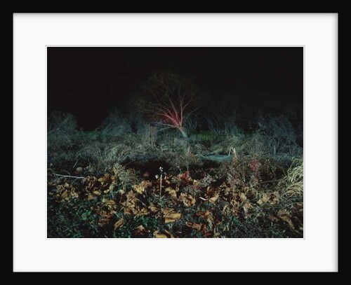 Painting in the Dark, 2011 by Carli Choi