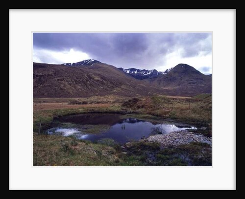 Scotland, 2013 by Carli Choi