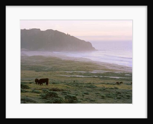 Big Sur, 2014 by Carli Choi