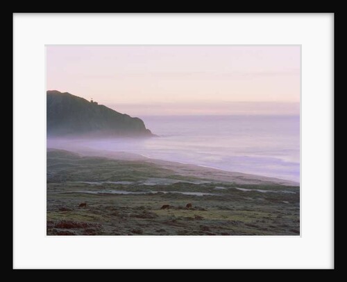 Big Sur, 2014 by Carli Choi