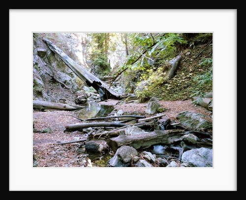 Big Sur, 2014 by Carli Choi