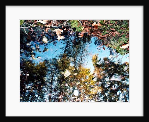 Big Sur, 2013 by Carli Choi