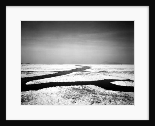 Forever at the Sea, 2012 by Carli Choi