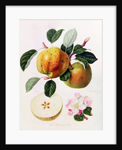 The Beauty of Kent, 1819 by William Hooker